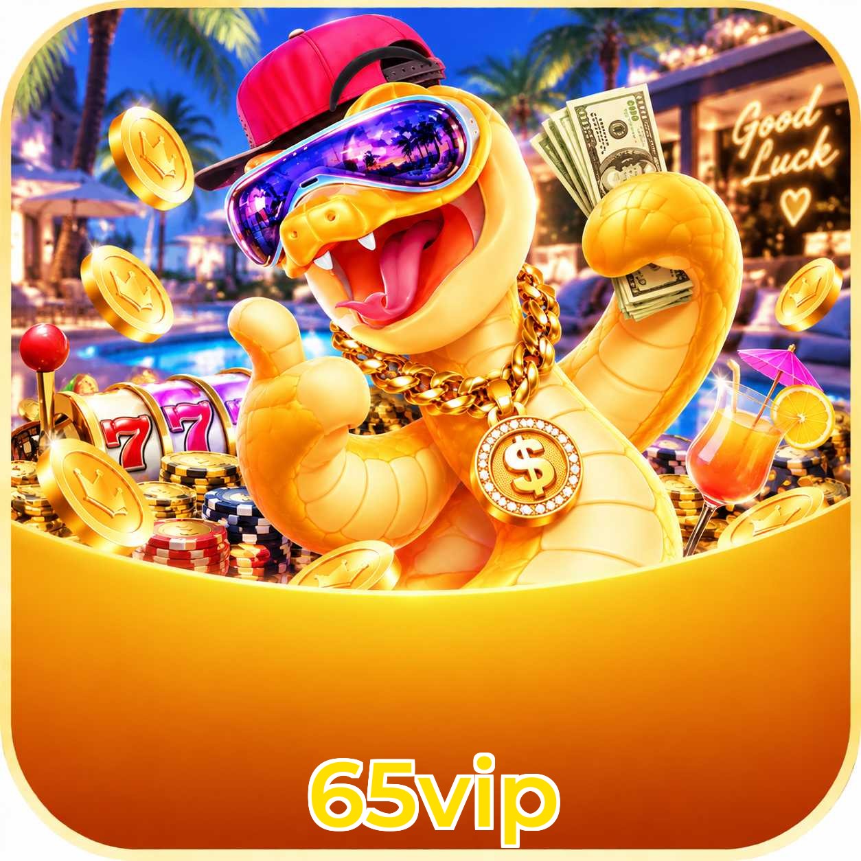 65vip System Requirements
